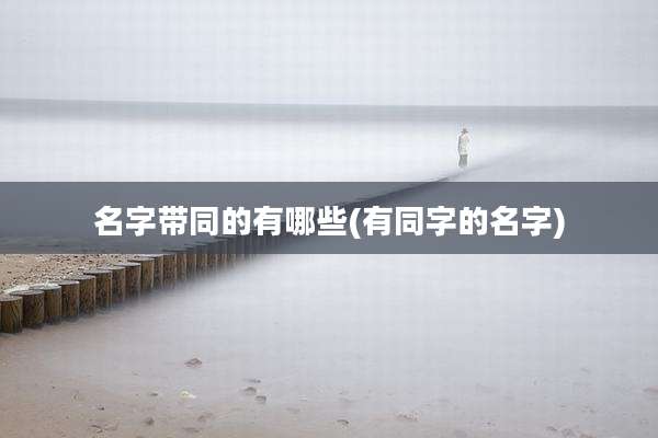 名字带同的有哪些(有同字的名字)