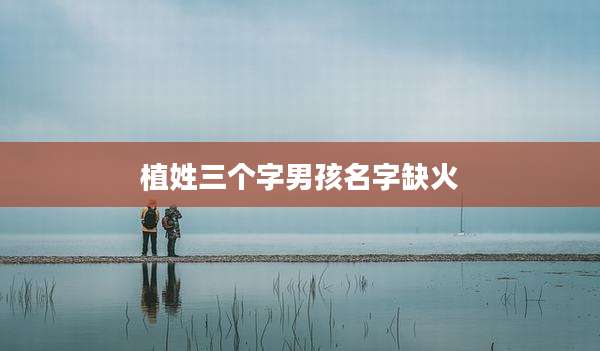 植姓三个字男孩名字缺火