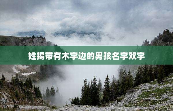 姓揭带有木字边的男孩名字双字