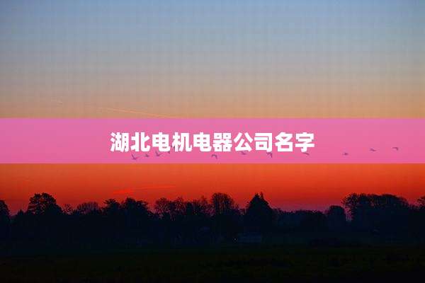 湖北电机电器公司名字