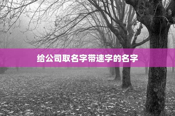 给公司取名字带速字的名字