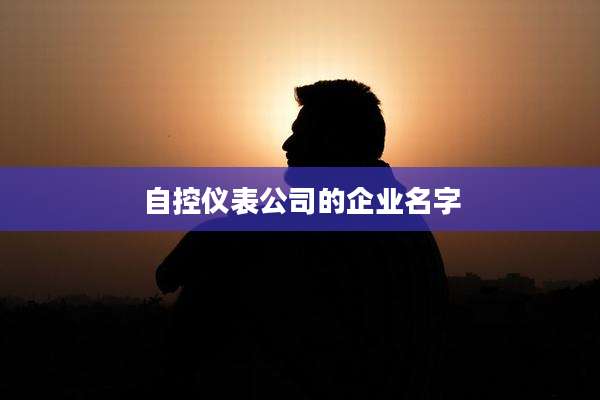 自控仪表公司的企业名字