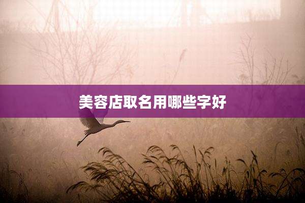 美容店取名用哪些字好