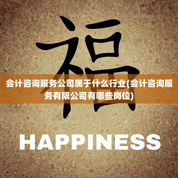 会计咨询服务公司属于什么行业(会计咨询服务有限公司有哪些岗位)