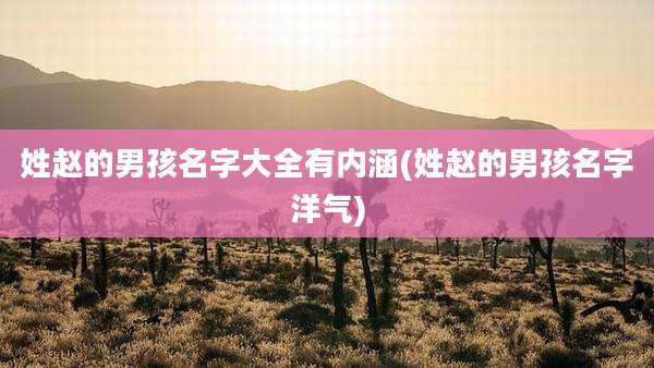 姓赵的男孩名字大全有内涵(姓赵的男孩名字洋气)