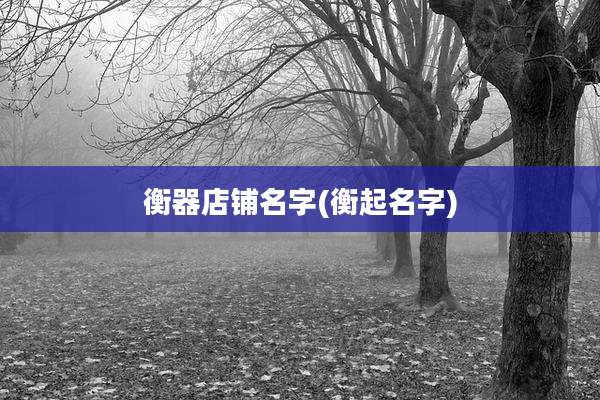 衡器店铺名字(衡起名字)