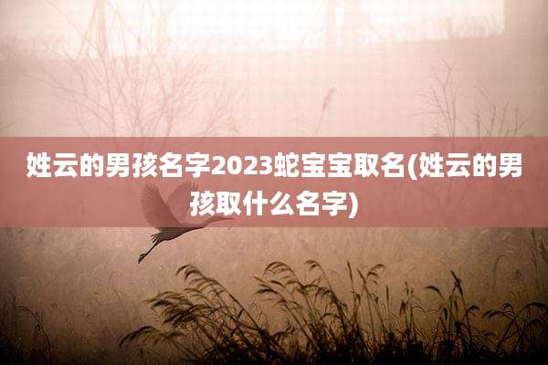 姓云的男孩名字2023蛇宝宝取名(姓云的男孩取什么名字)