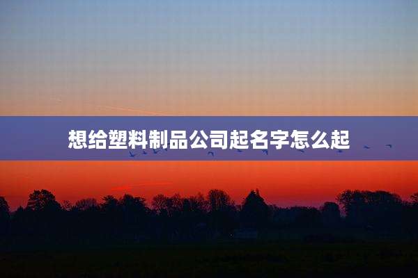 想给塑料制品公司起名字怎么起