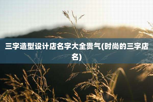 三字造型设计店名字大全贵气(时尚的三字店名)