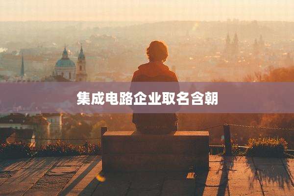 集成电路企业取名含朝