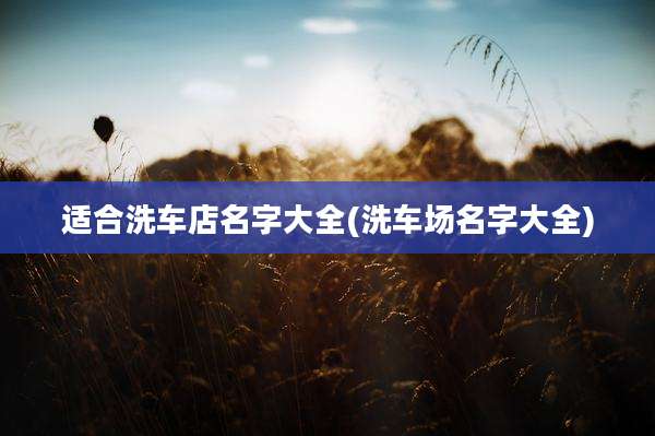 适合洗车店名字大全(洗车场名字大全)