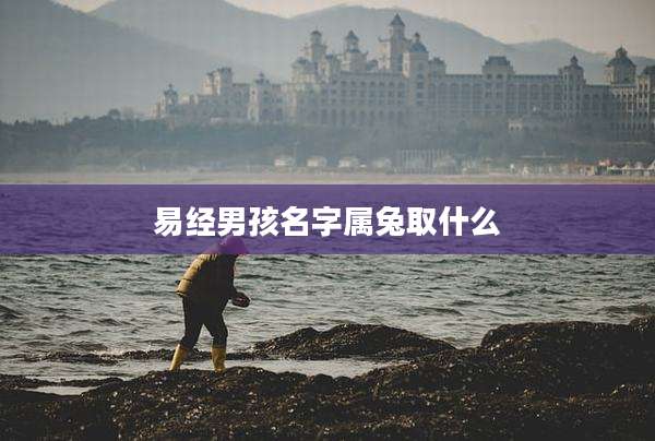 易经男孩名字属兔取什么