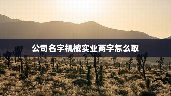公司名字机械实业两字怎么取