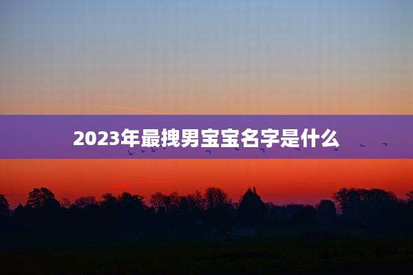 2023年最拽男宝宝名字是什么