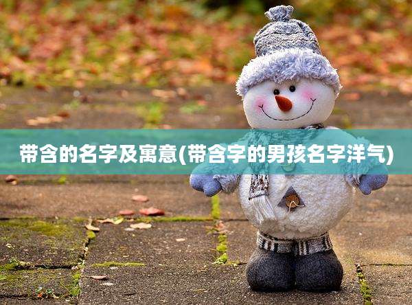 带含的名字及寓意(带含字的男孩名字洋气)