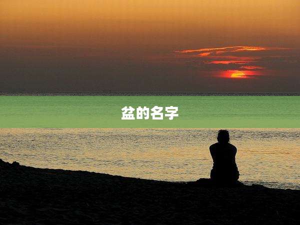 盆的名字