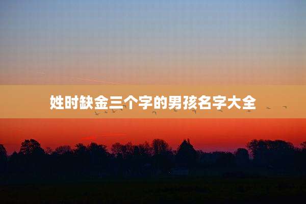 姓时缺金三个字的男孩名字大全