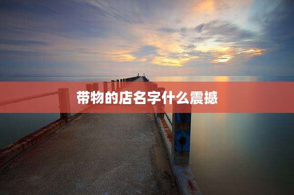 带物的店名字什么震撼