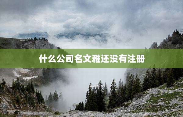 什么公司名文雅还没有注册