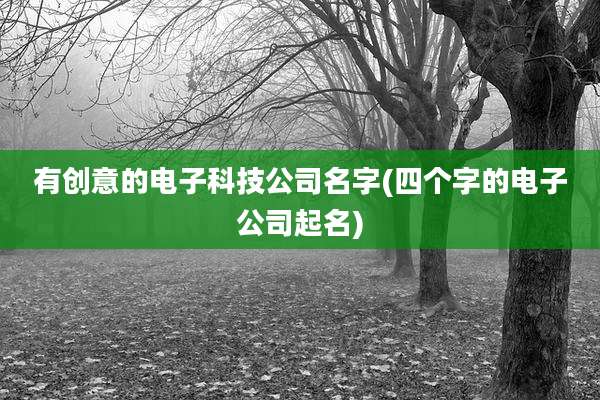 有创意的电子科技公司名字(四个字的电子公司起名)