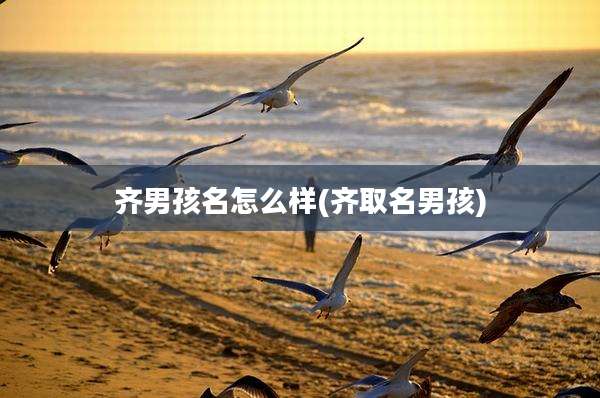齐男孩名怎么样(齐取名男孩)