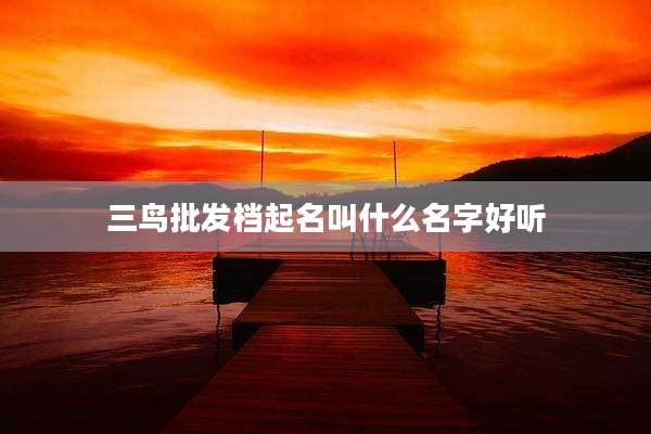 三鸟批发档起名叫什么名字好听