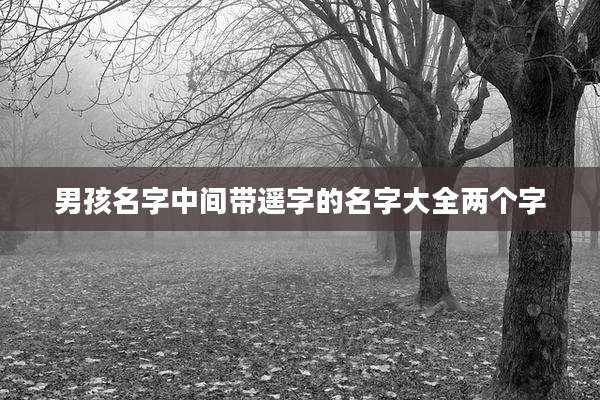 男孩名字中间带遥字的名字大全两个字