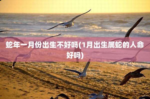 蛇年一月份出生不好吗(1月出生属蛇的人命好吗)
