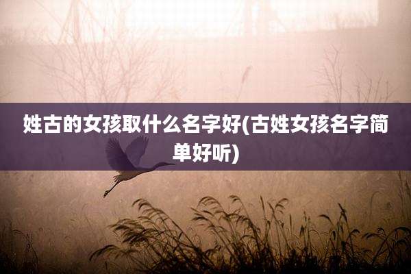 姓古的女孩取什么名字好(古姓女孩名字简单好听)