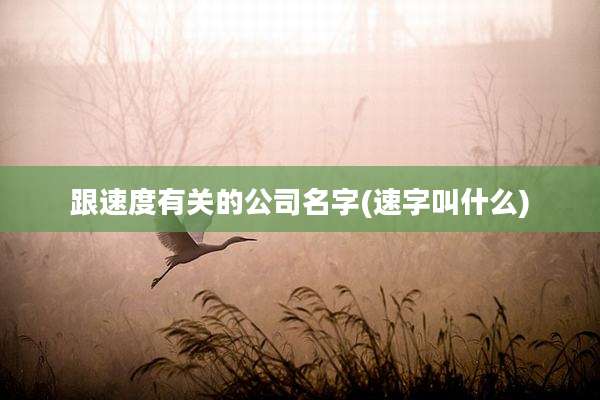 跟速度有关的公司名字(速字叫什么)