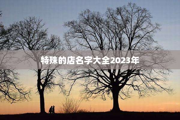 特殊的店名字大全2023年