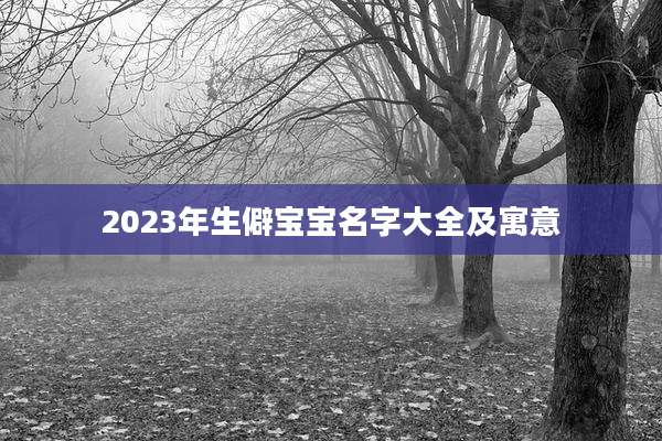 2023年生僻宝宝名字大全及寓意