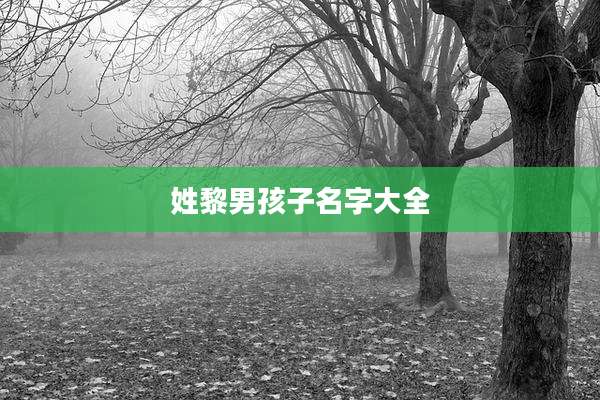 姓黎男孩子名字大全