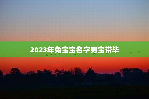 2023年兔宝宝名字男宝带毕