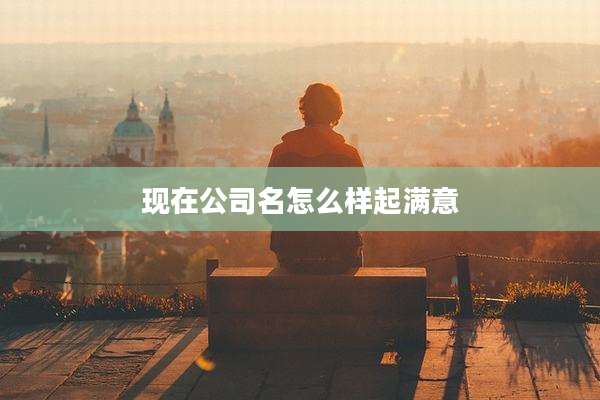 现在公司名怎么样起满意
