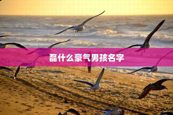 磊什么豪气男孩名字