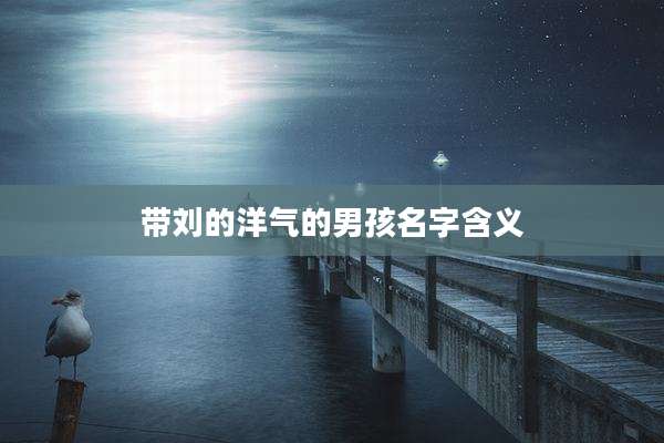 带刘的洋气的男孩名字含义