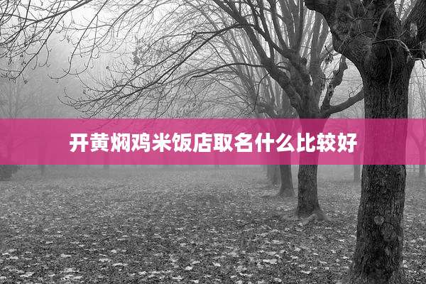 开黄焖鸡米饭店取名什么比较好