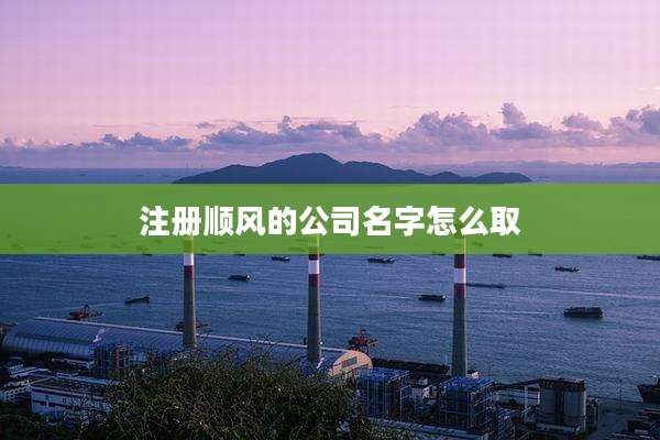注册顺风的公司名字怎么取