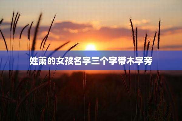 姓萧的女孩名字三个字带木字旁