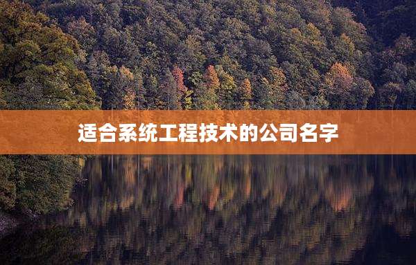 适合系统工程技术的公司名字