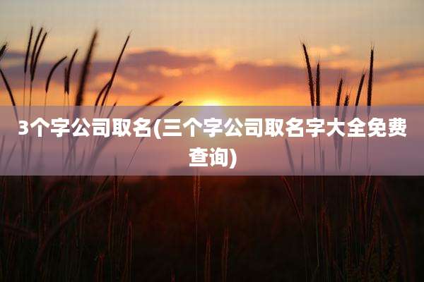 3个字公司取名(三个字公司取名字大全免费查询)
