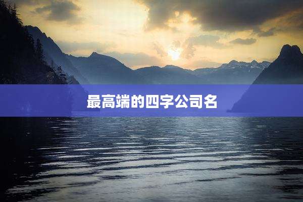 最高端的四字公司名