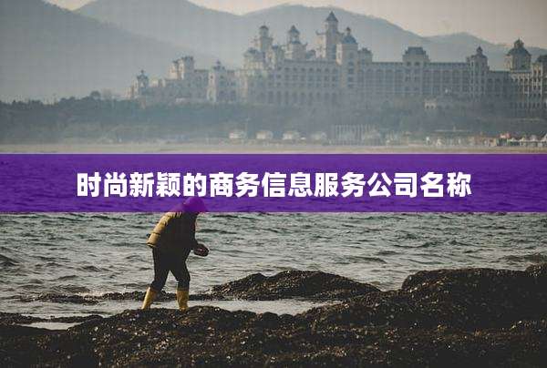 时尚新颖的商务信息服务公司名称