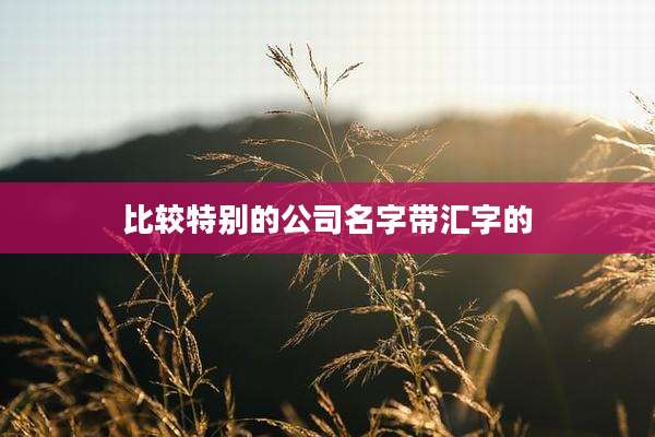 比较特别的公司名字带汇字的