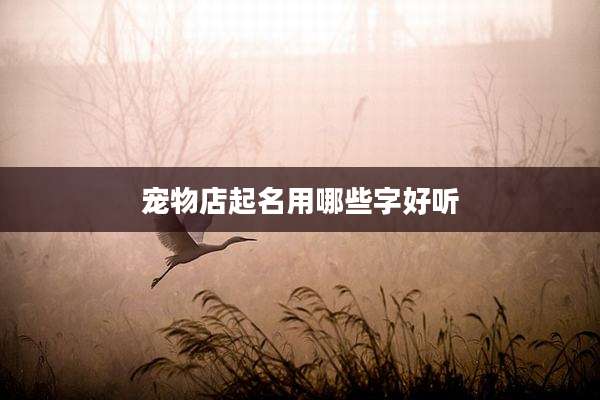 宠物店起名用哪些字好听
