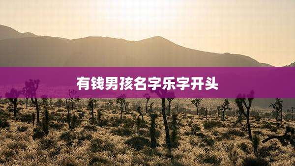 有钱男孩名字乐字开头