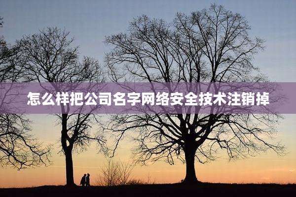 怎么样把公司名字网络安全技术注销掉