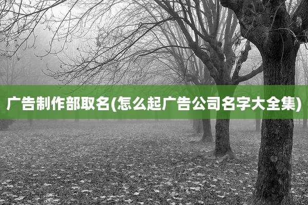 广告制作部取名(怎么起广告公司名字大全集)