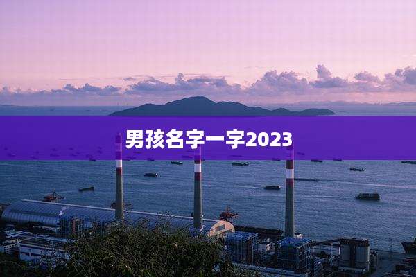 男孩名字一字2023